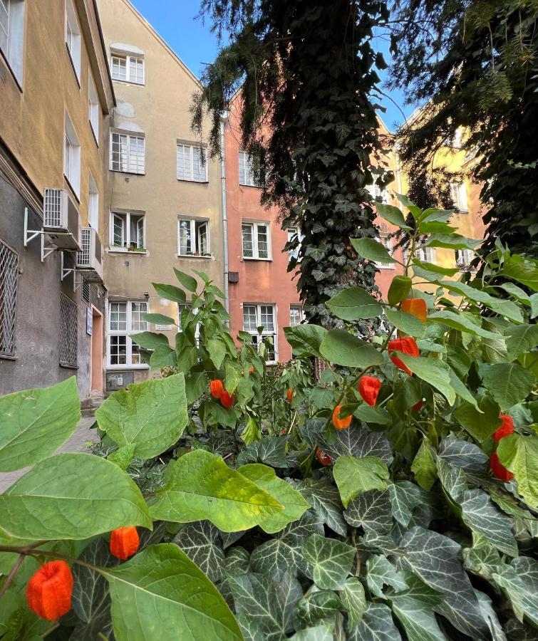 אולז'טין Apartament Hansa Klossa מראה חיצוני תמונה